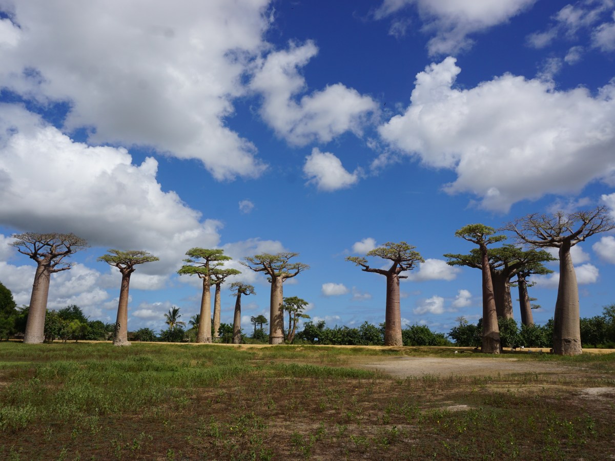 A PRACTICAL MADAGASCAR TRAVEL GUIDE FOR A GREAT TRIP IN&nbsp;MADAGASCAR