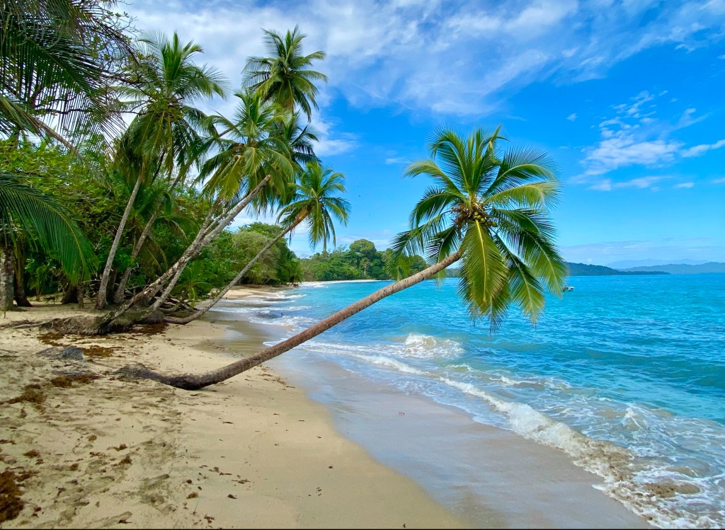 THE TOP 15 THINGS TO DO IN COSTA&nbsp;RICA